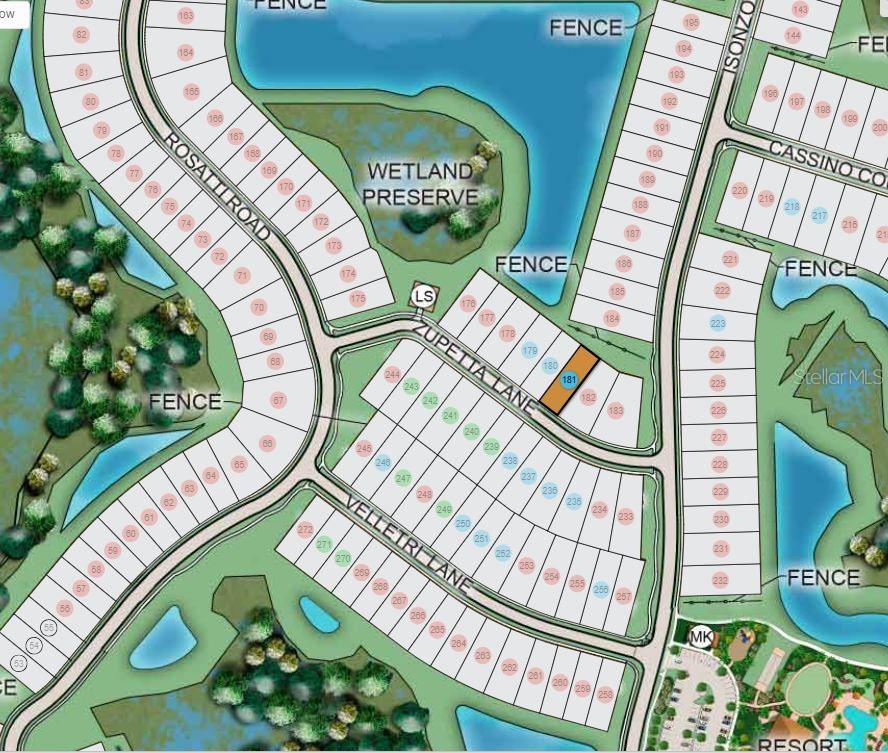 29555 ZUPETTA LN, WESLEY CHAPEL, FL, 33545