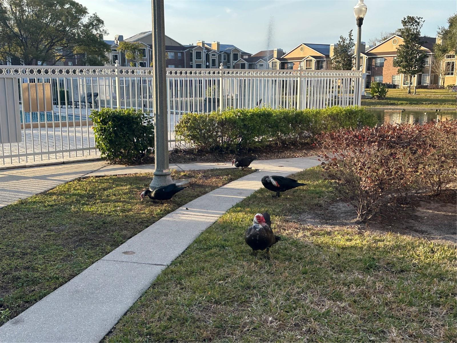 5601 ROSEBRIAR WAY #304, ORLANDO, FL, 32822