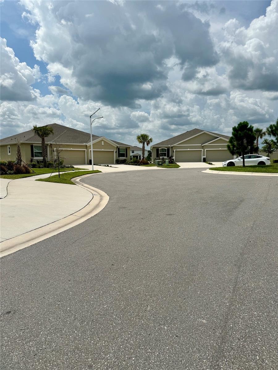 31092 MANGO FADE WAY, SAN ANTONIO, FL, 33576