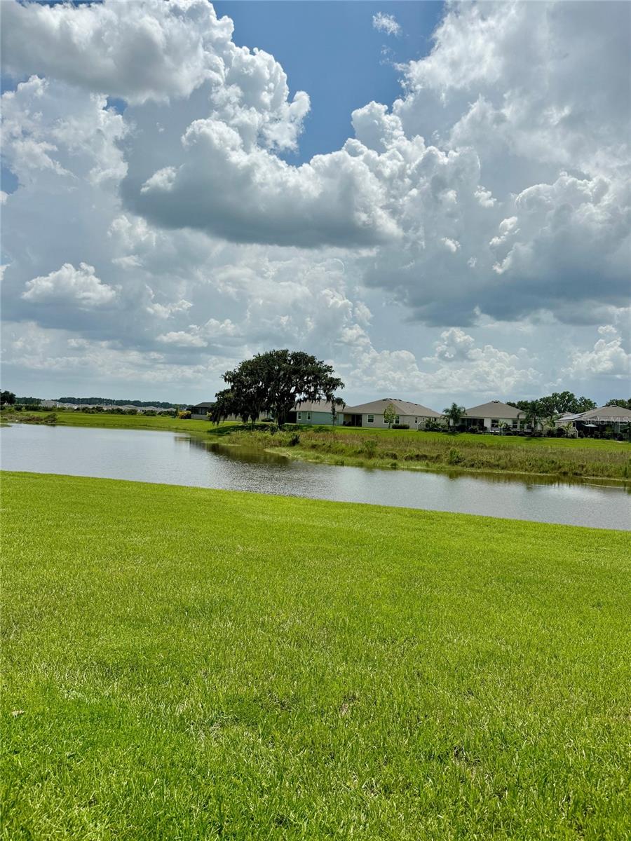 31092 MANGO FADE WAY, SAN ANTONIO, FL, 33576