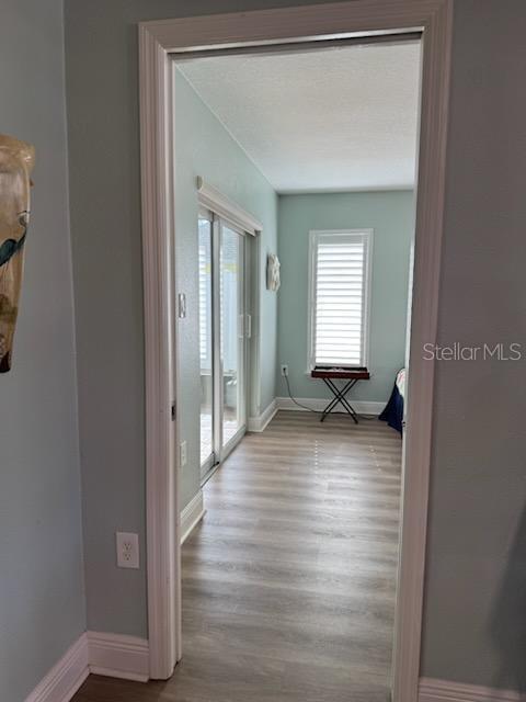 1113 CARLTON RD, TARPON SPRINGS, FL, 34689