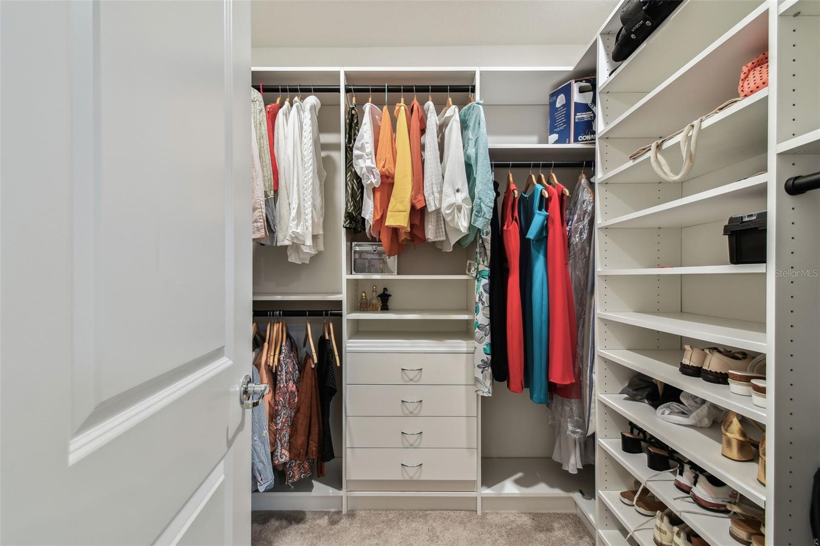 6684 DEVLIN LN, WESLEY CHAPEL, FL, 33545