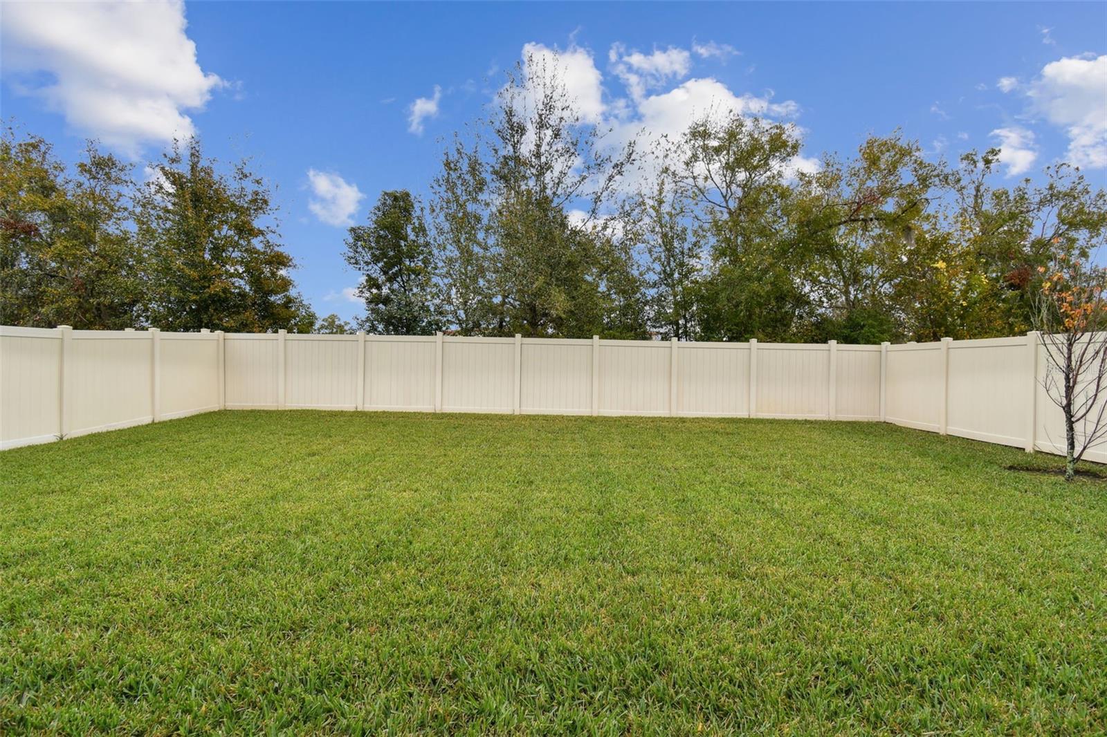 6684 DEVLIN LN, WESLEY CHAPEL, FL, 33545