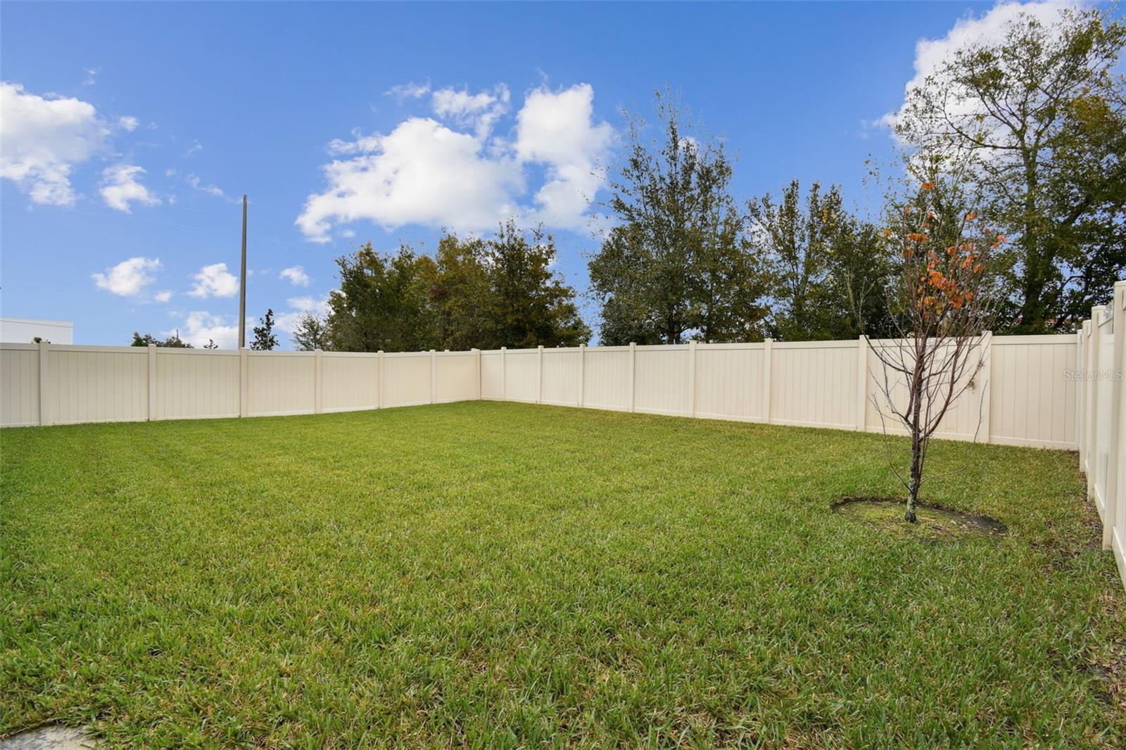 6684 DEVLIN LN, WESLEY CHAPEL, FL, 33545