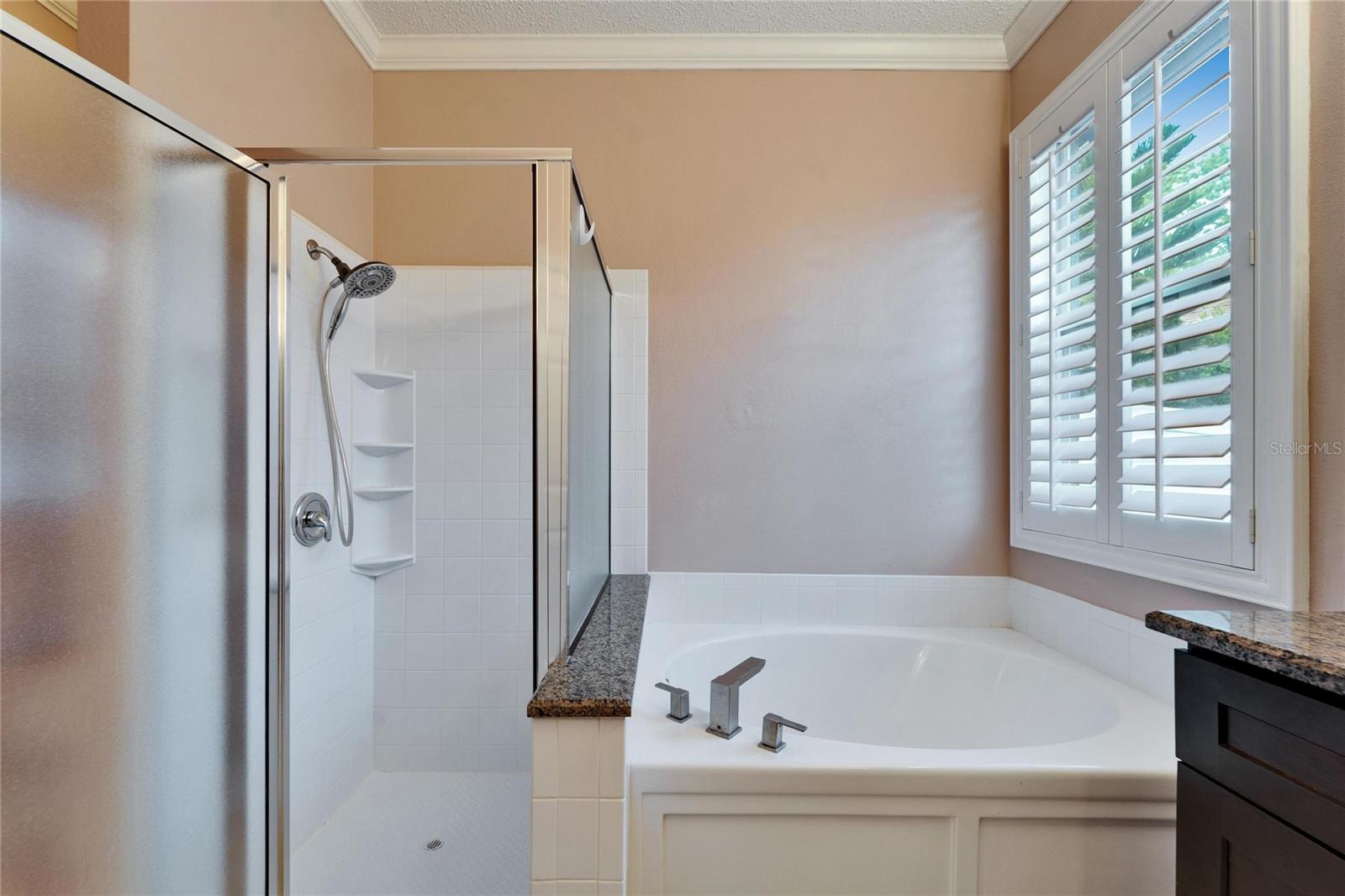 10322 GOLDENBROOK WAY, TAMPA, FL, 33647