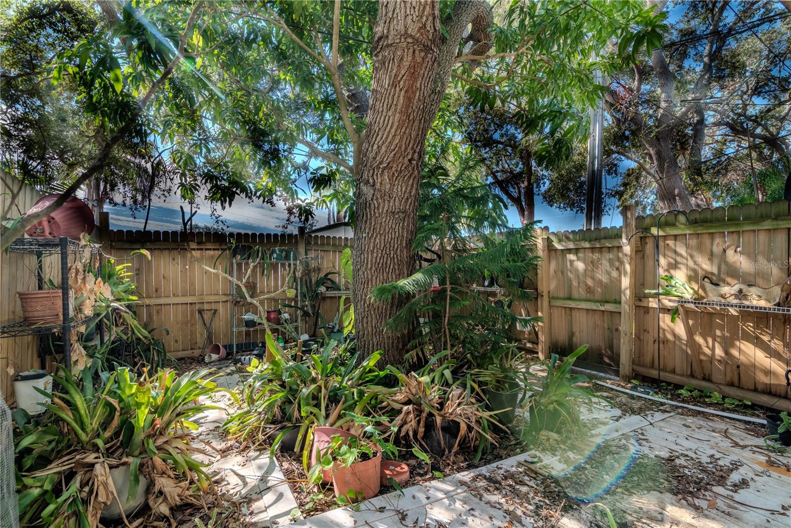 639 MICHIGAN BLVD, DUNEDIN, FL, 34698