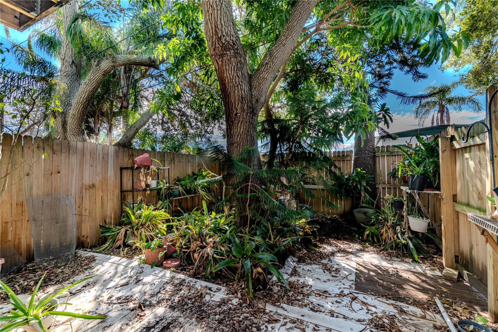 639 MICHIGAN BLVD, DUNEDIN, FL, 34698