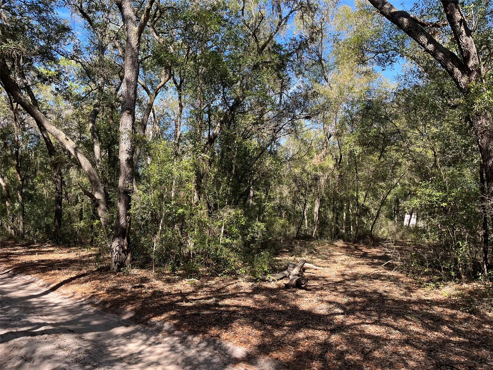 104 SUNSET LN, INTERLACHEN, FL, 32148