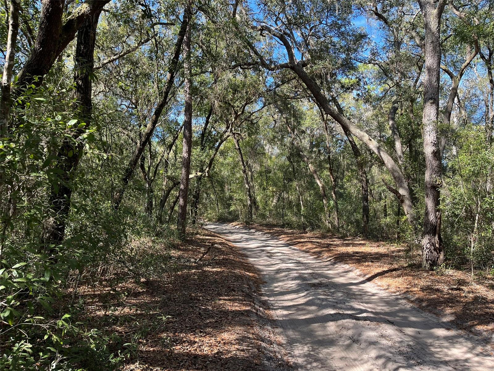 104 SUNSET LN, INTERLACHEN, FL, 32148