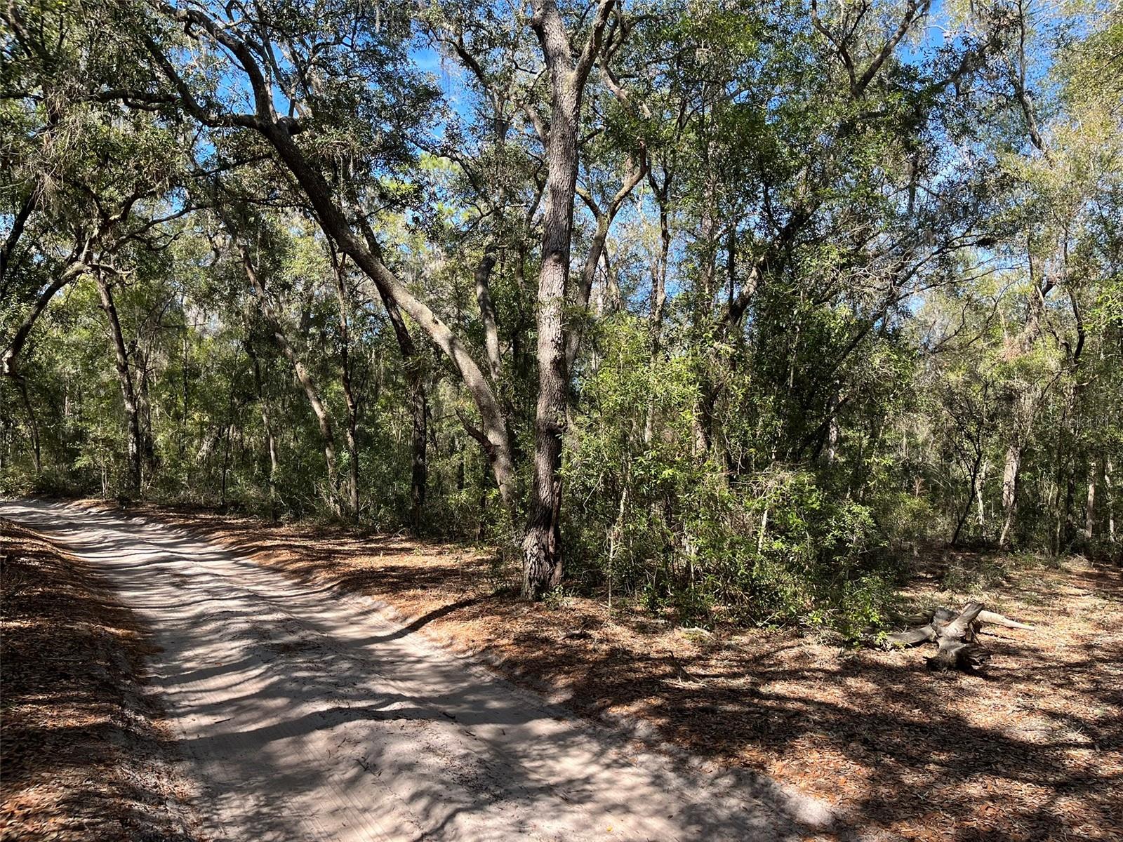 104 SUNSET LN, INTERLACHEN, FL, 32148