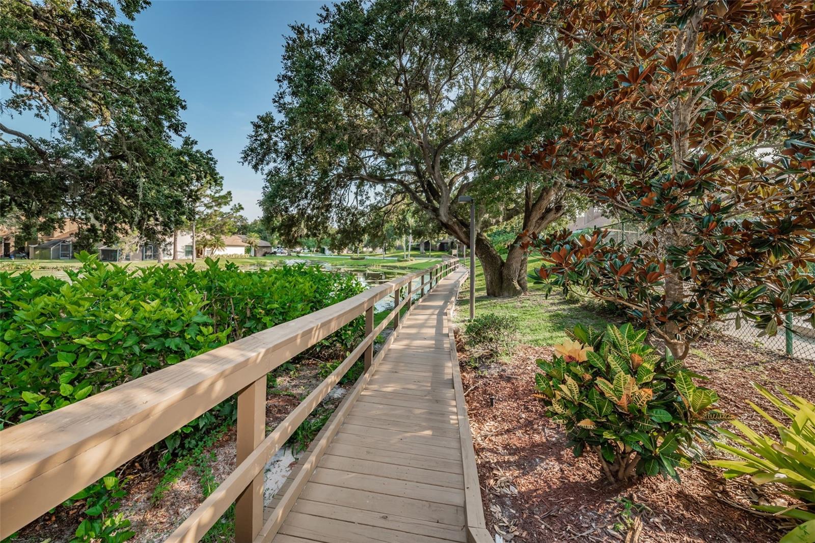 1908 BAYSHORE CT, SAFETY HARBOR, FL, 34695