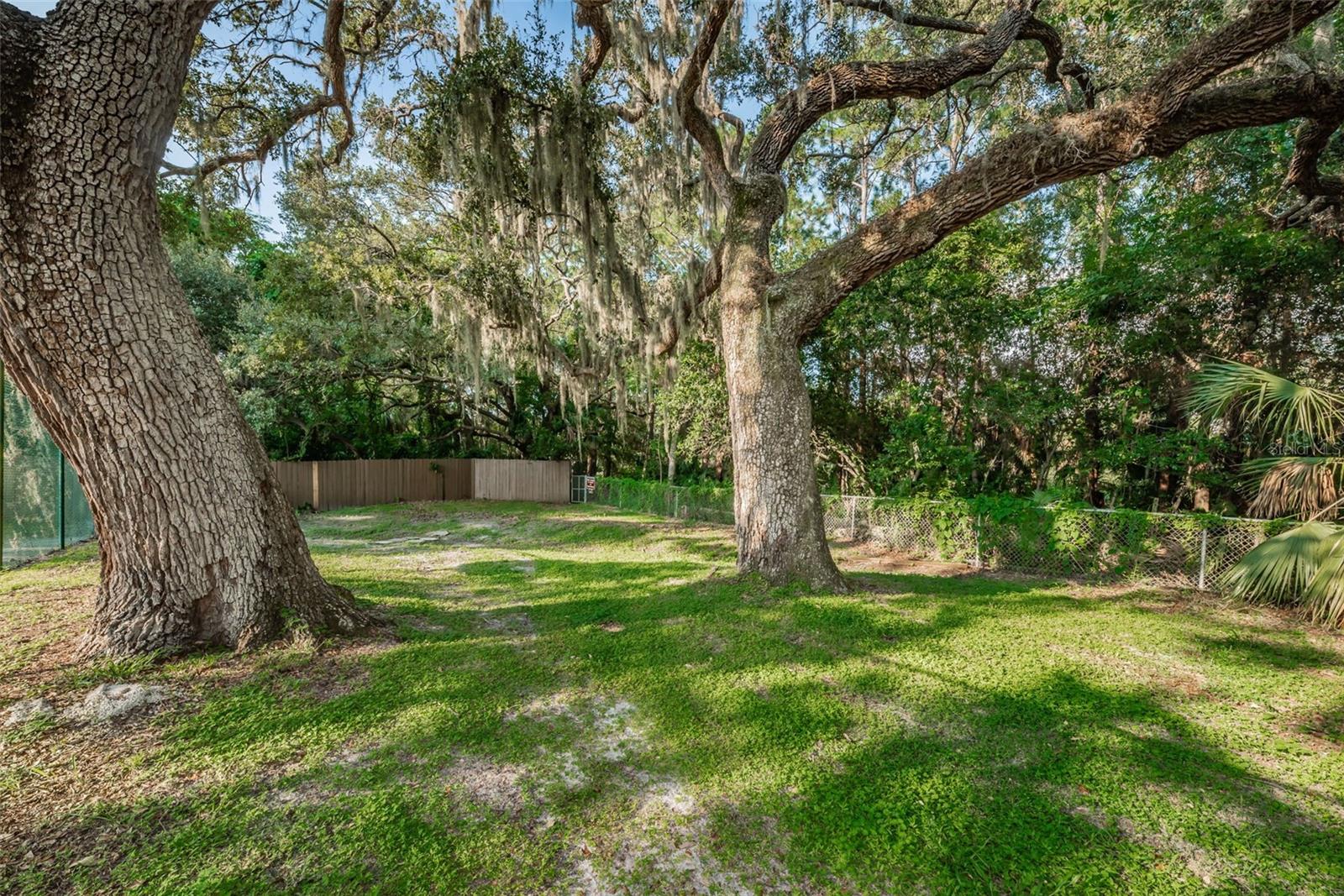 1908 BAYSHORE CT, SAFETY HARBOR, FL, 34695