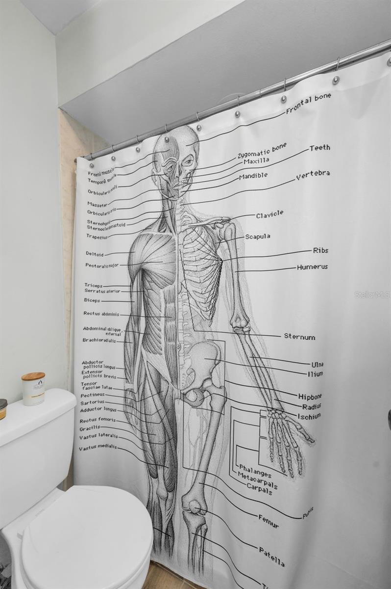 1908 BAYSHORE CT, SAFETY HARBOR, FL, 34695