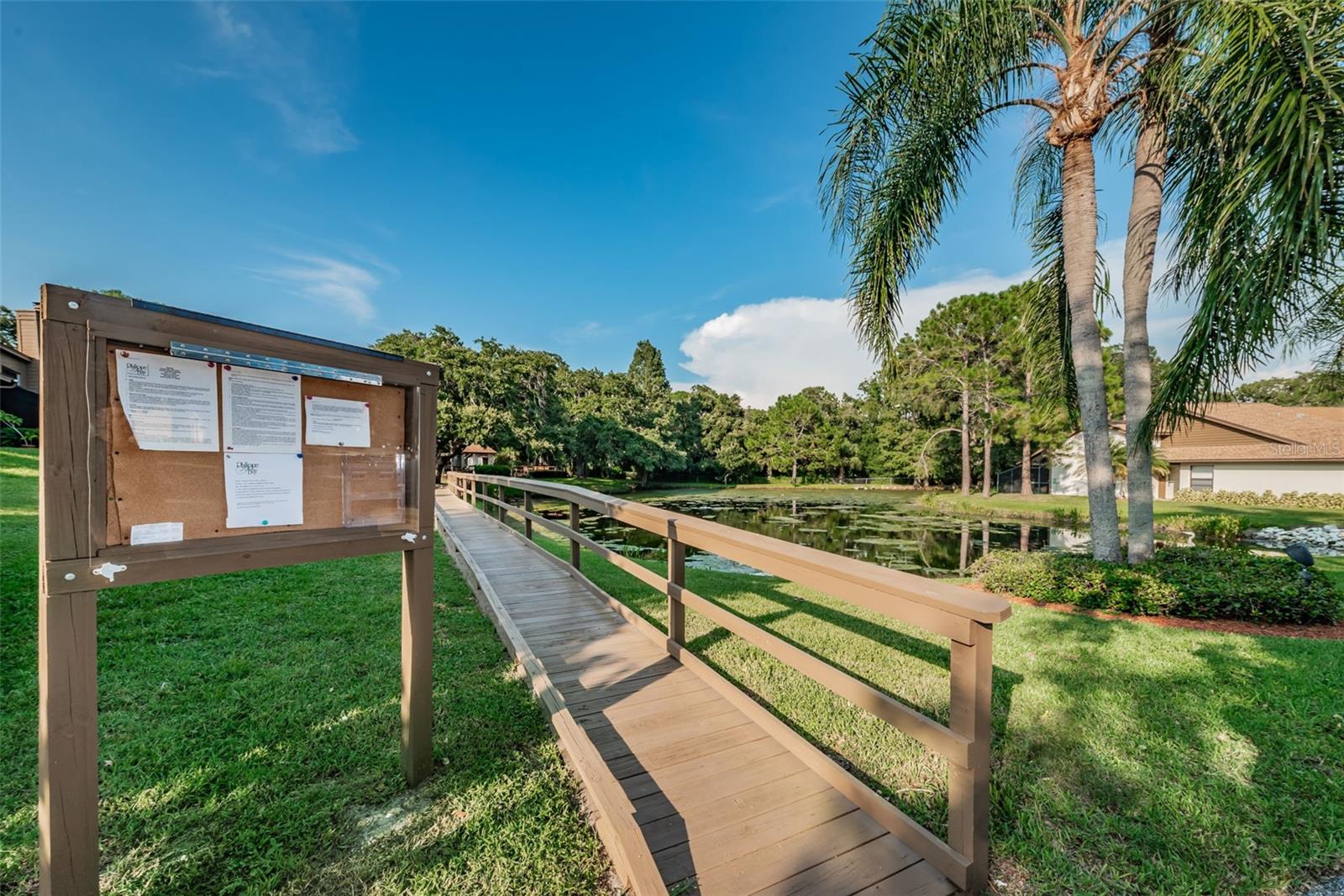 1908 BAYSHORE CT, SAFETY HARBOR, FL, 34695