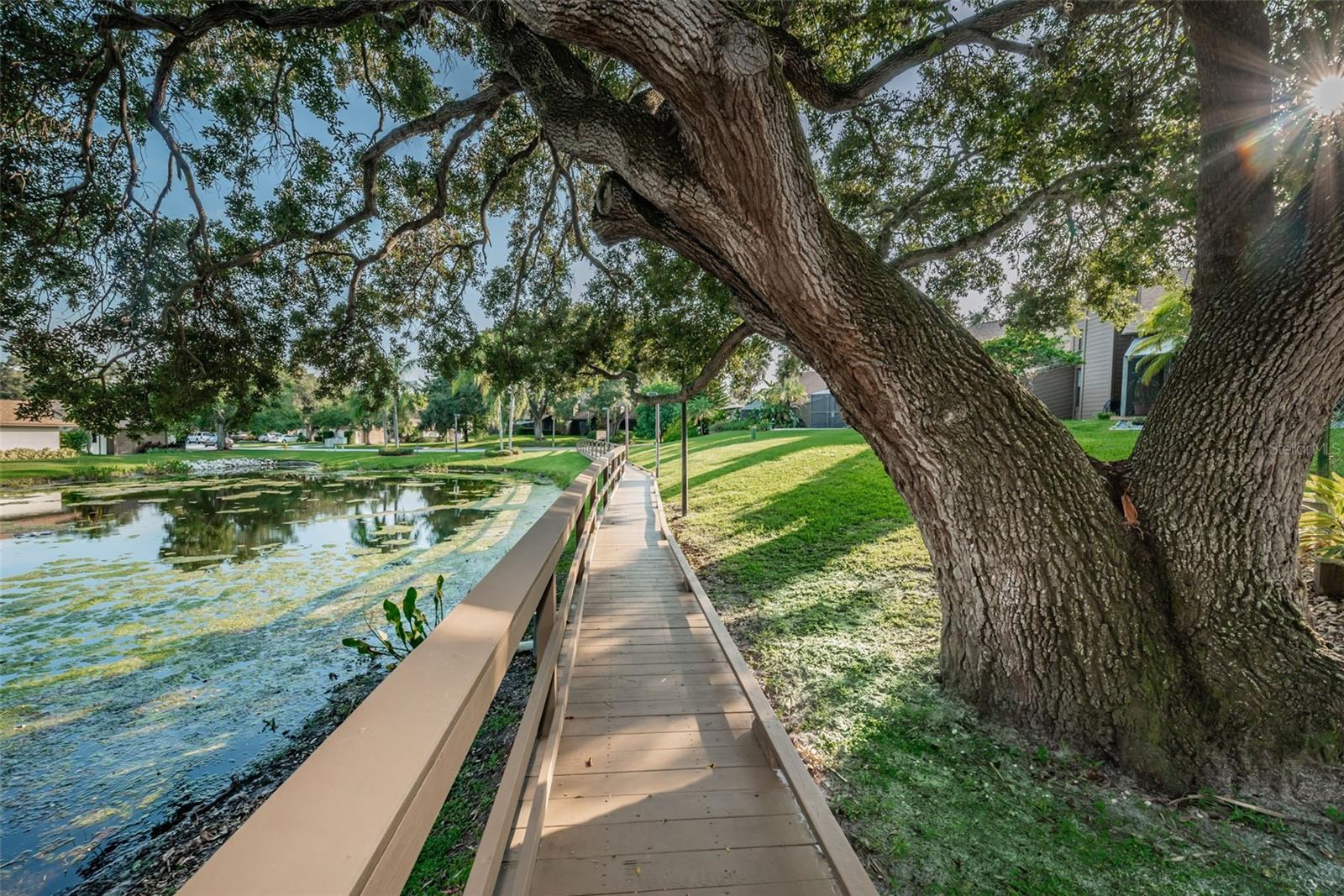 1908 BAYSHORE CT, SAFETY HARBOR, FL, 34695