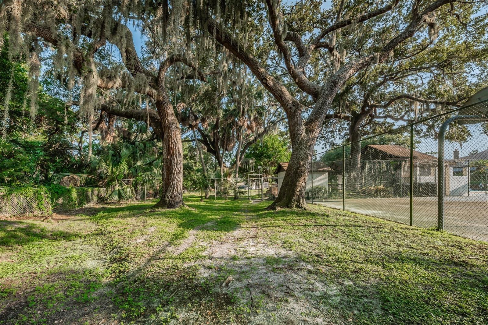 1908 BAYSHORE CT, SAFETY HARBOR, FL, 34695