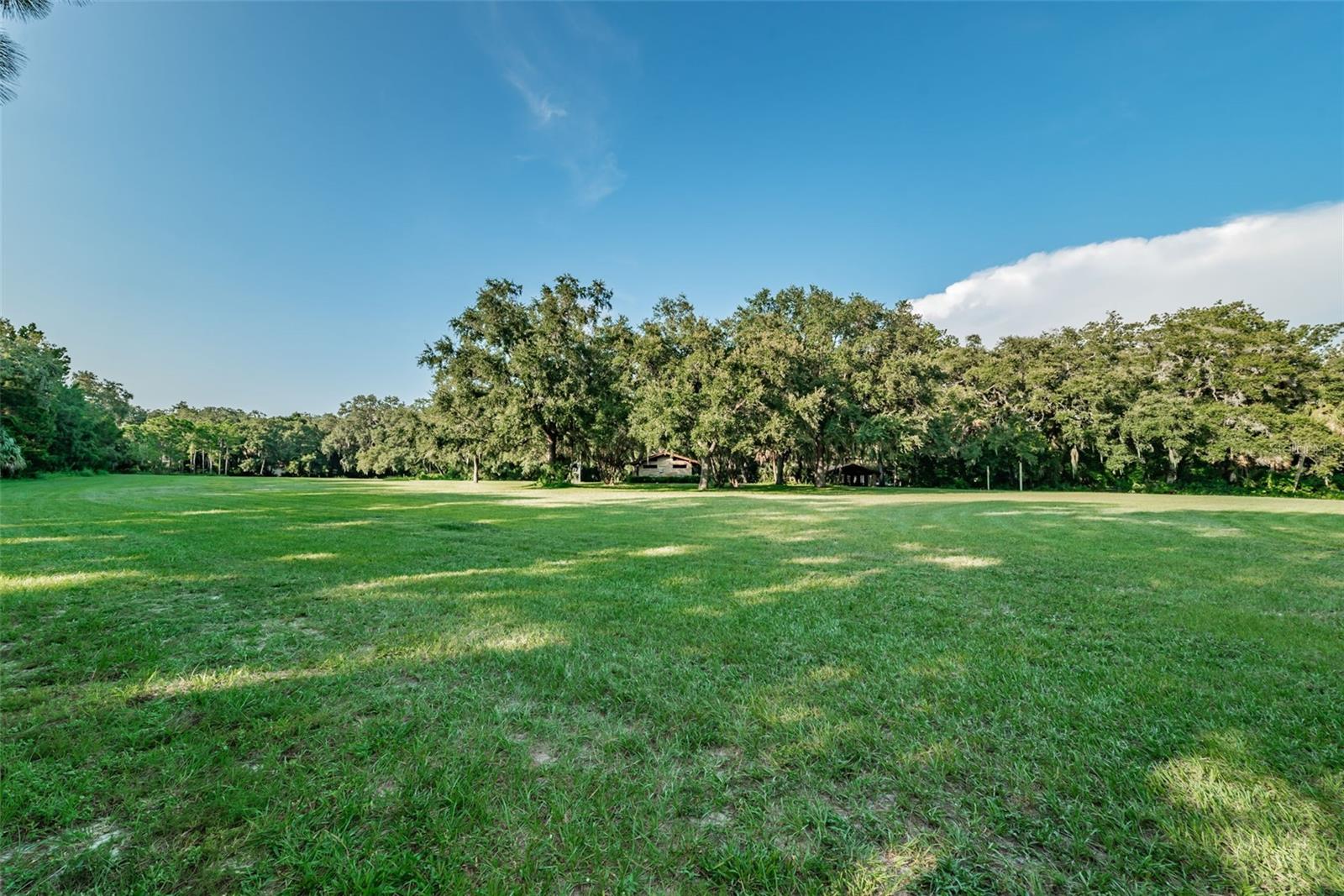 1908 BAYSHORE CT, SAFETY HARBOR, FL, 34695
