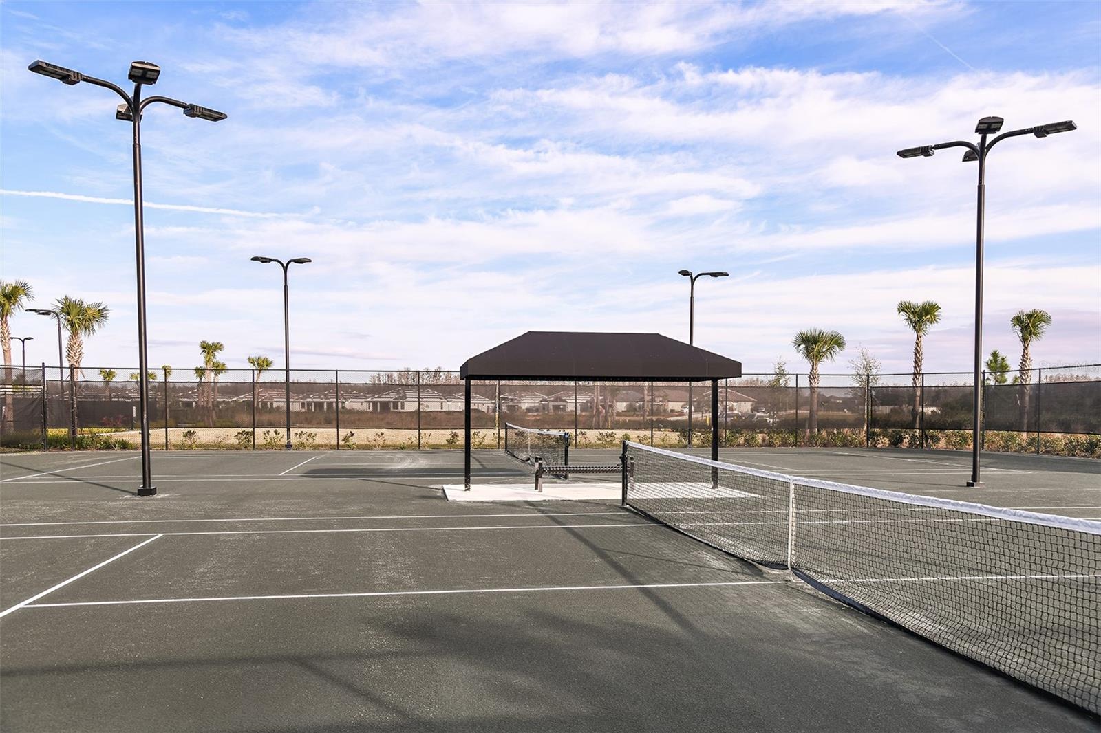 29571 VELLETRI LN, WESLEY CHAPEL, FL, 33545