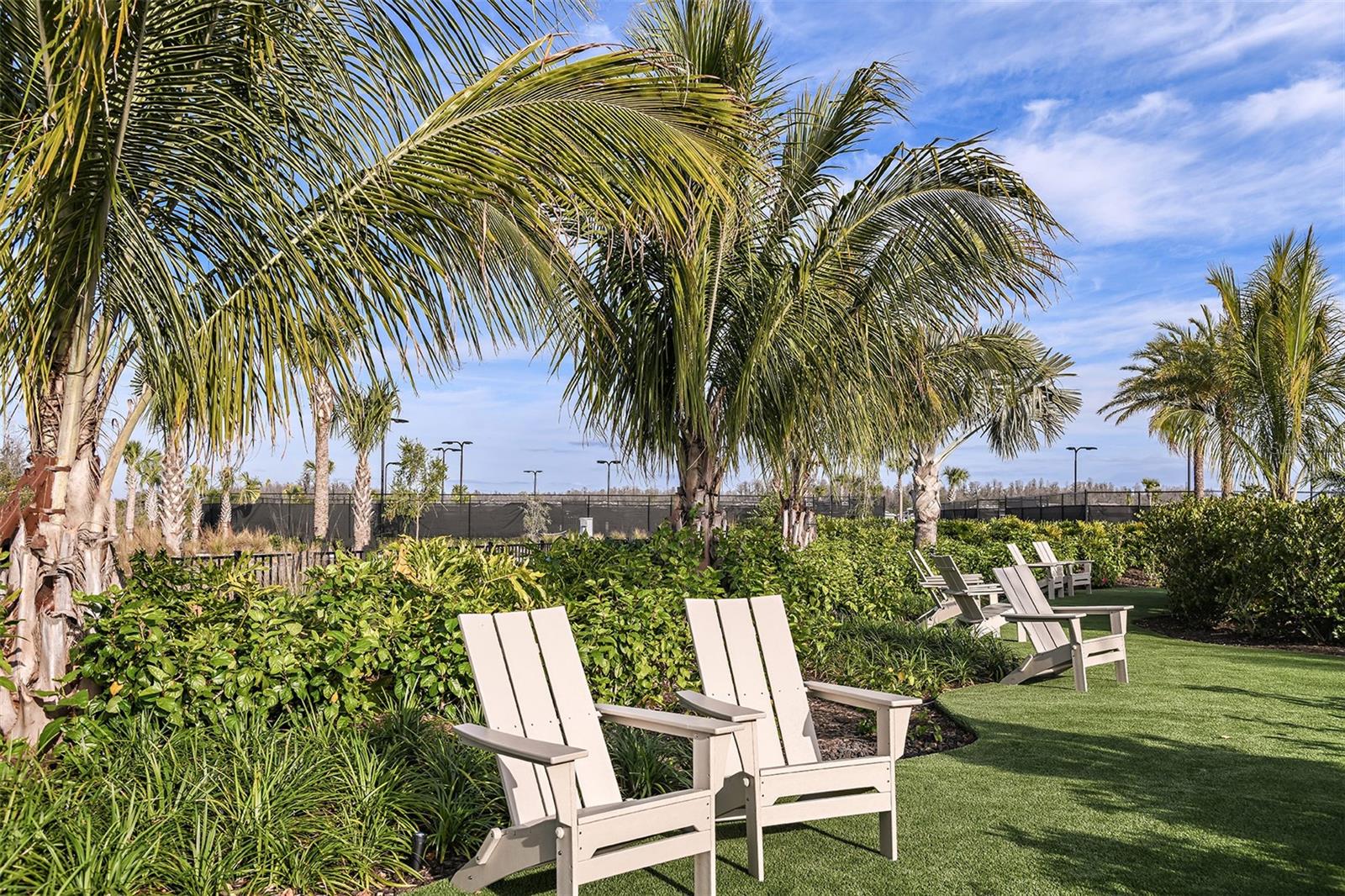 29571 VELLETRI LN, WESLEY CHAPEL, FL, 33545