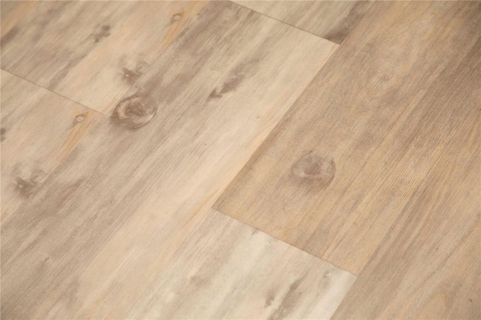 5619 OAK RIDGE AVE, NEW PORT RICHEY, FL, 34652