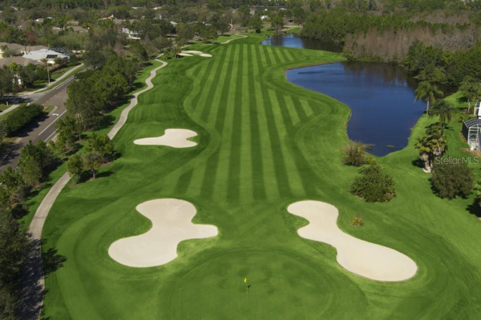 10023 BROMPTON DR, TAMPA, FL, 33626