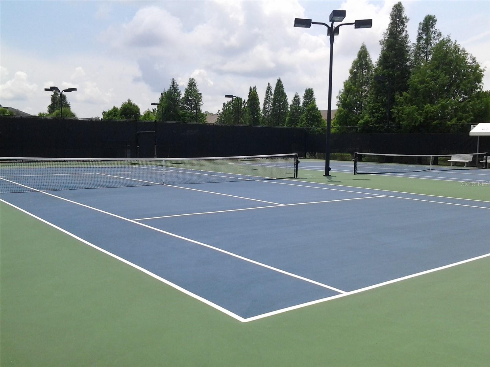 10023 BROMPTON DR, TAMPA, FL, 33626