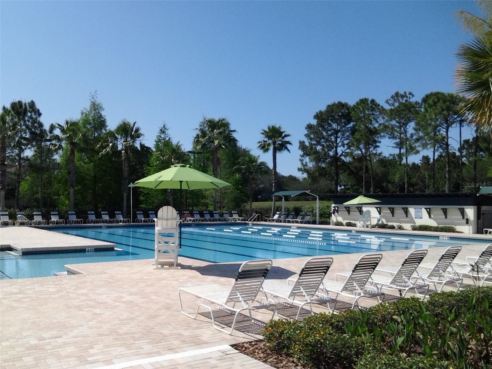 10023 BROMPTON DR, TAMPA, FL, 33626