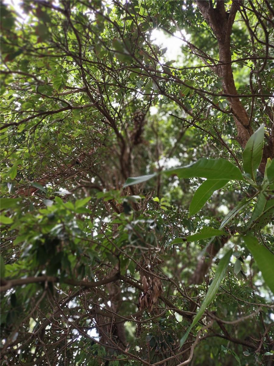 0000 BREEZY POINT DRIVE, DUNNELLON, FL, 34431