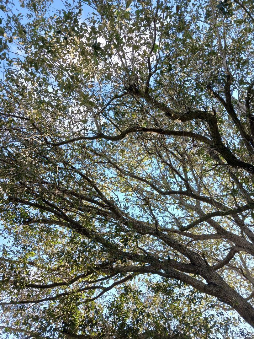 0000 BREEZY POINT DRIVE, DUNNELLON, FL, 34431