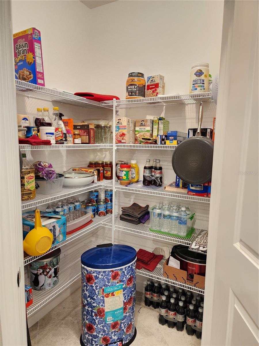 17009 CLEAR CORK DR, WIMAUMA, FL, 33598