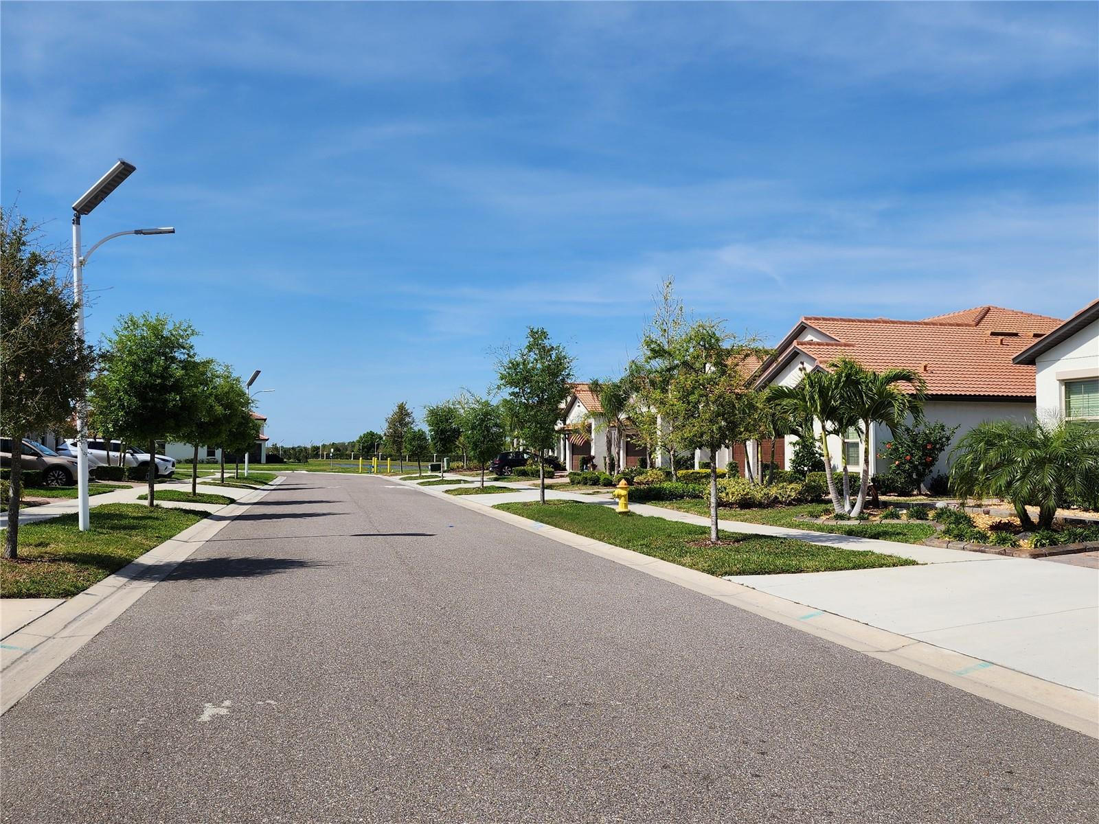 17009 CLEAR CORK DR, WIMAUMA, FL, 33598