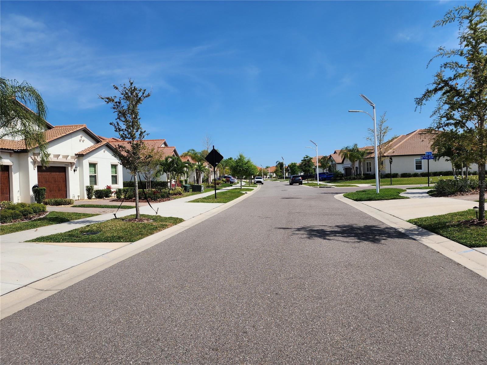 17009 CLEAR CORK DR, WIMAUMA, FL, 33598