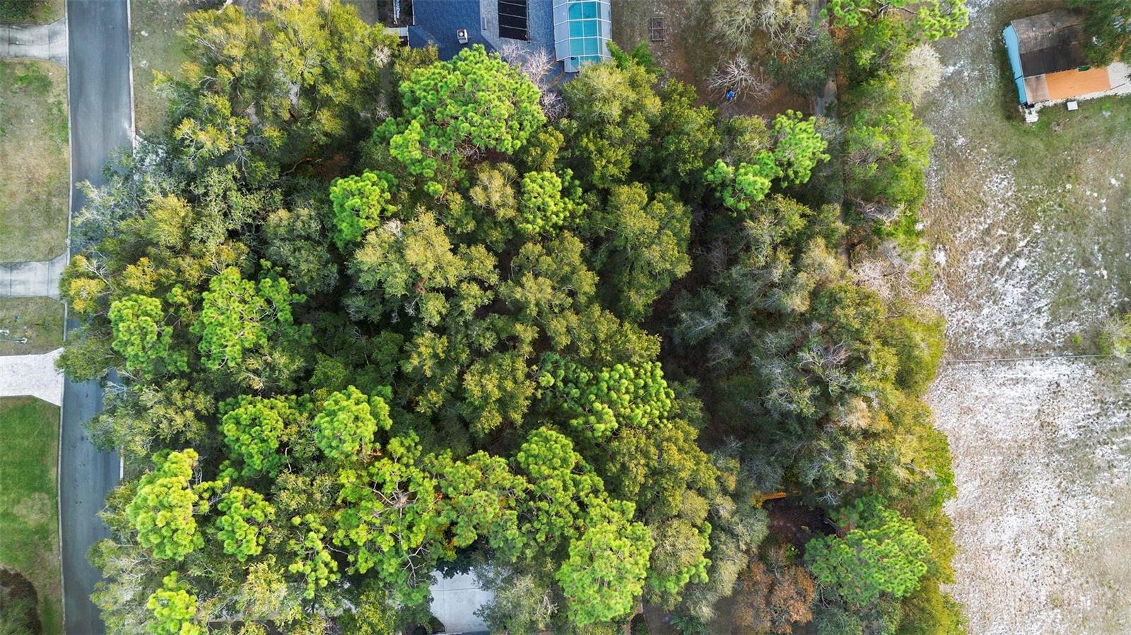 1482 COVERED BRIDGE DR, DELAND, FL, 32724