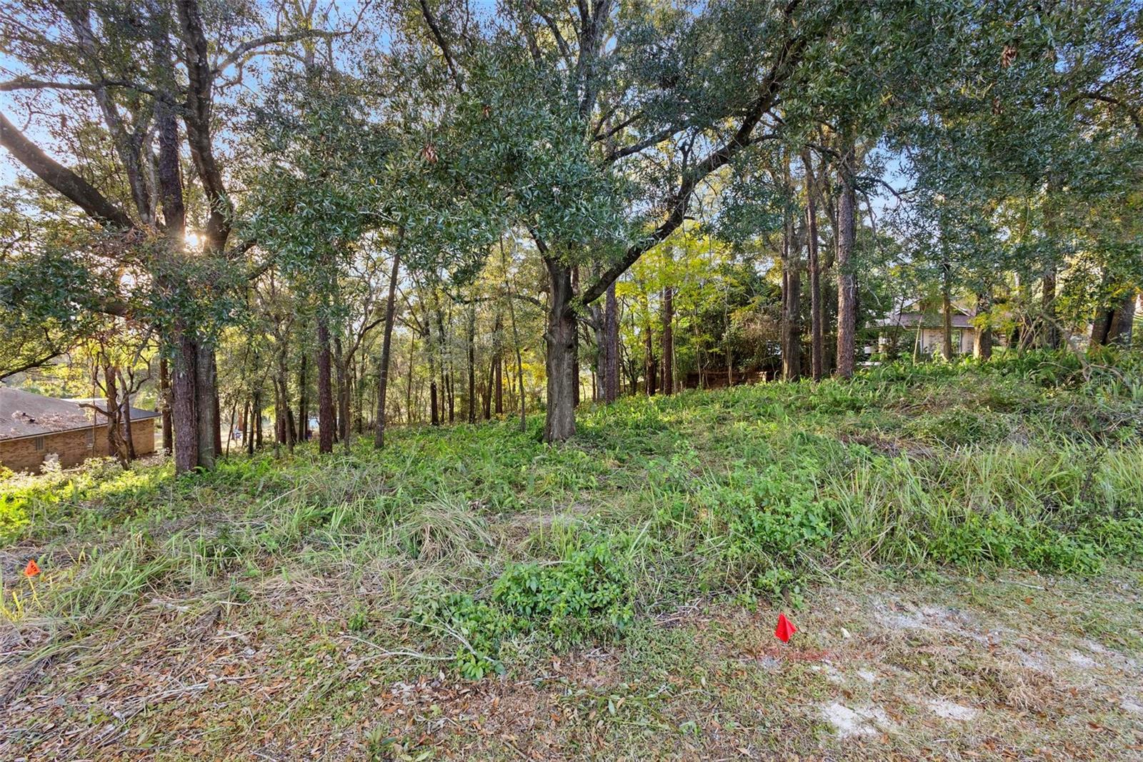 1482 COVERED BRIDGE DR, DELAND, FL, 32724