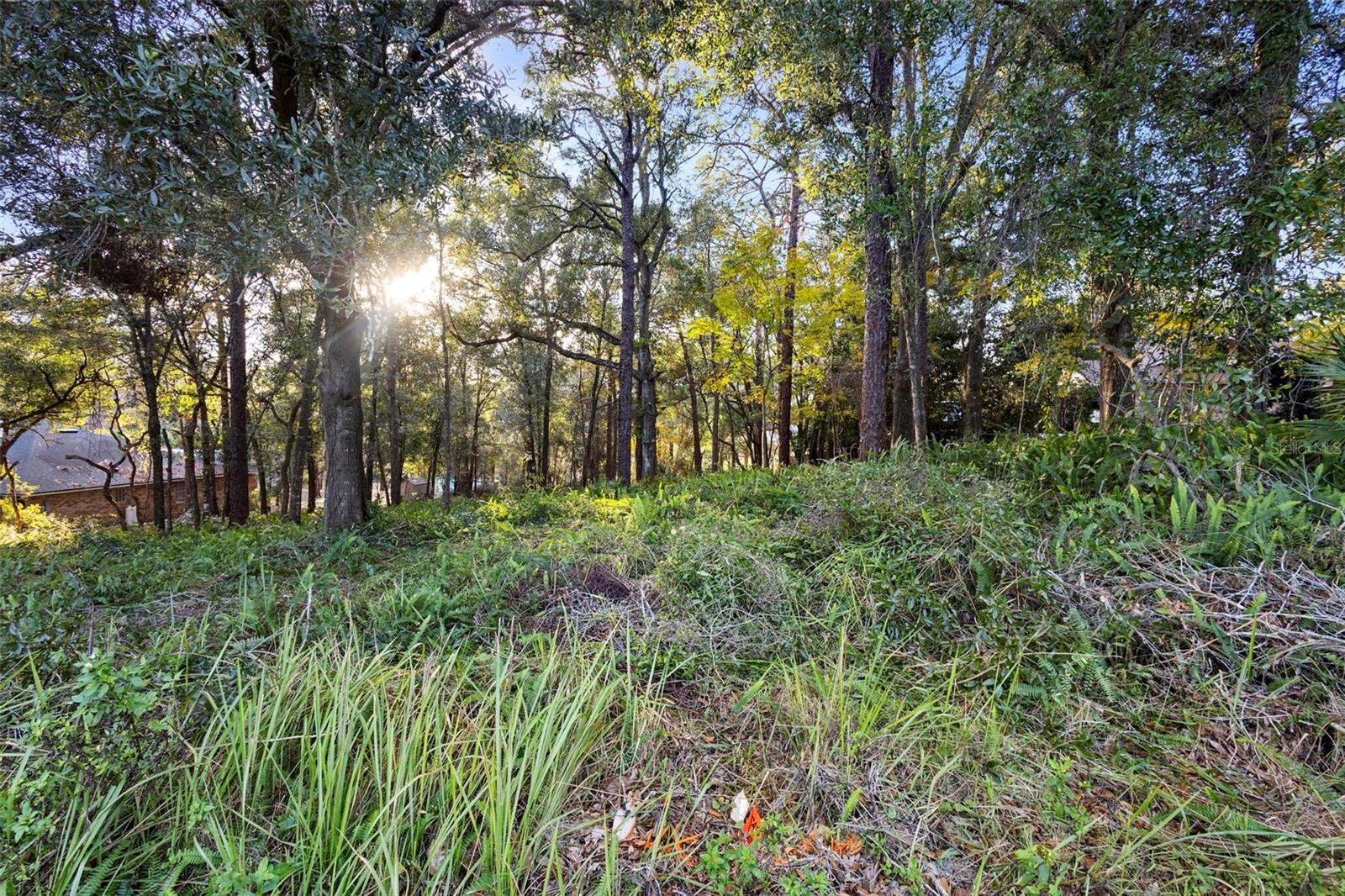 1482 COVERED BRIDGE DR, DELAND, FL, 32724