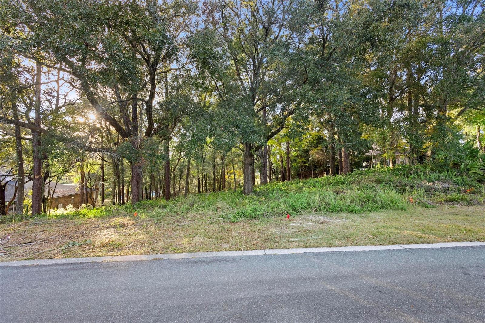 1482 COVERED BRIDGE DR, DELAND, FL, 32724