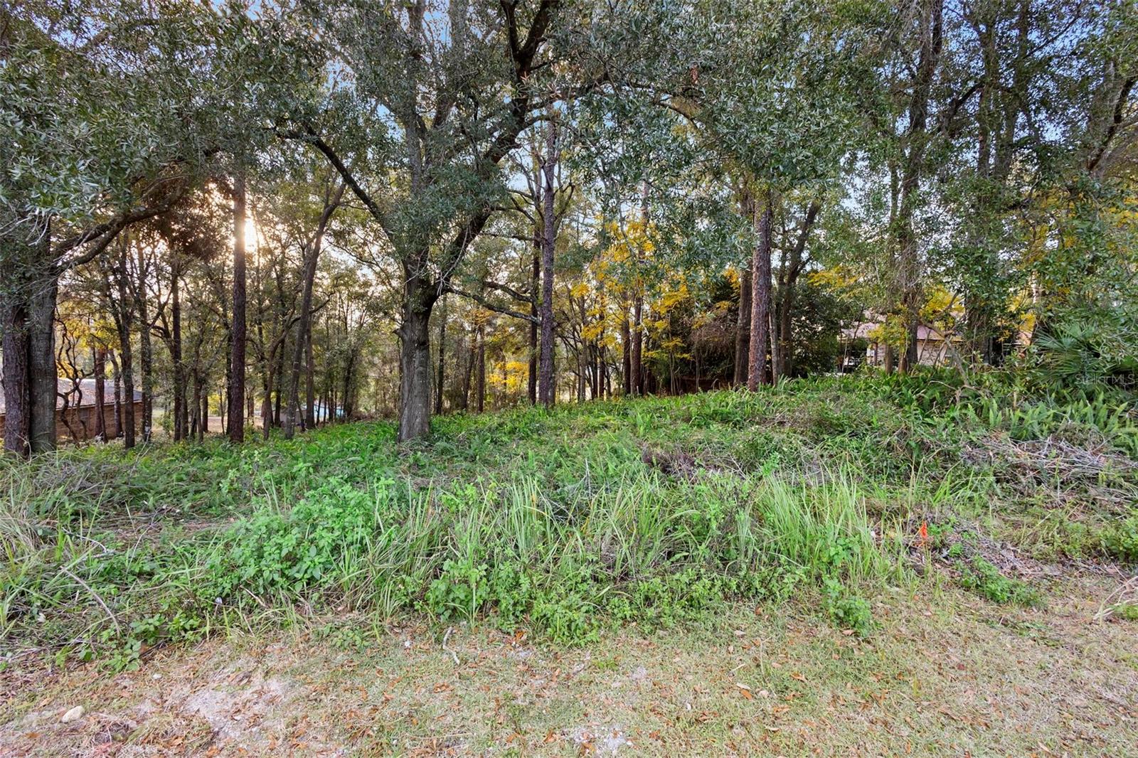 1482 COVERED BRIDGE DR, DELAND, FL, 32724