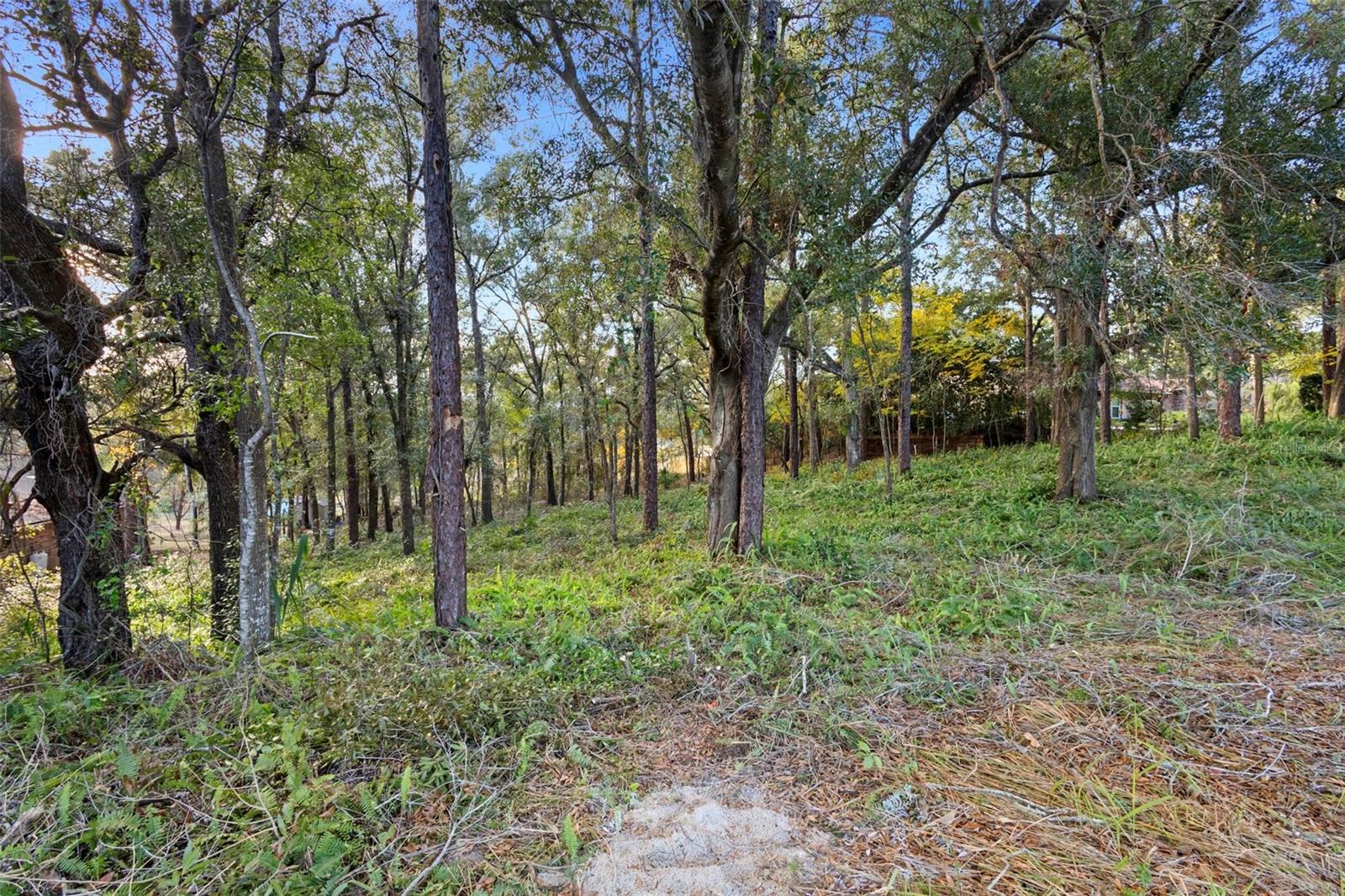 1482 COVERED BRIDGE DR, DELAND, FL, 32724