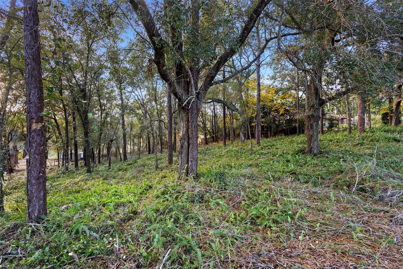 1482 COVERED BRIDGE DR, DELAND, FL, 32724