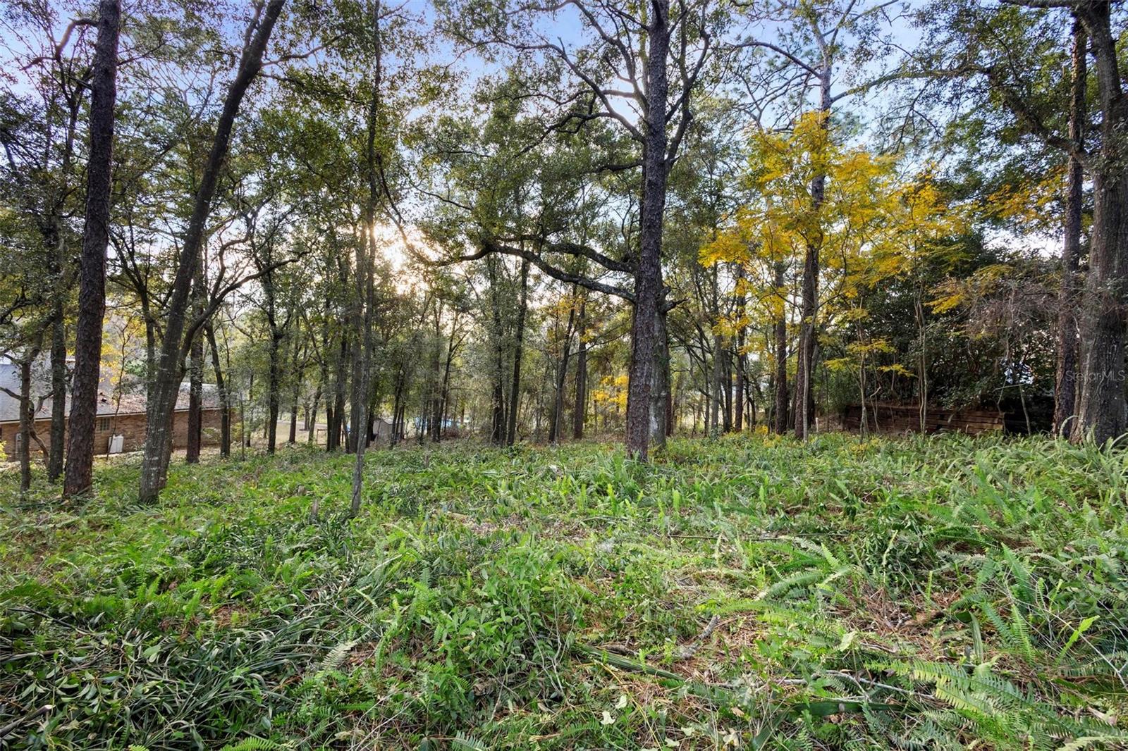 1482 COVERED BRIDGE DR, DELAND, FL, 32724