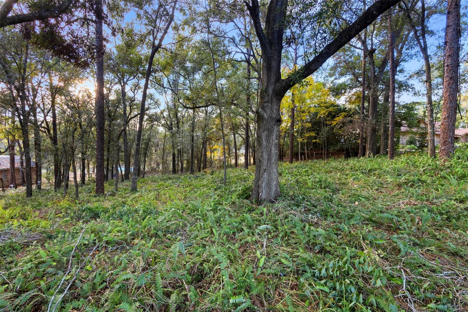 1482 COVERED BRIDGE DR, DELAND, FL, 32724