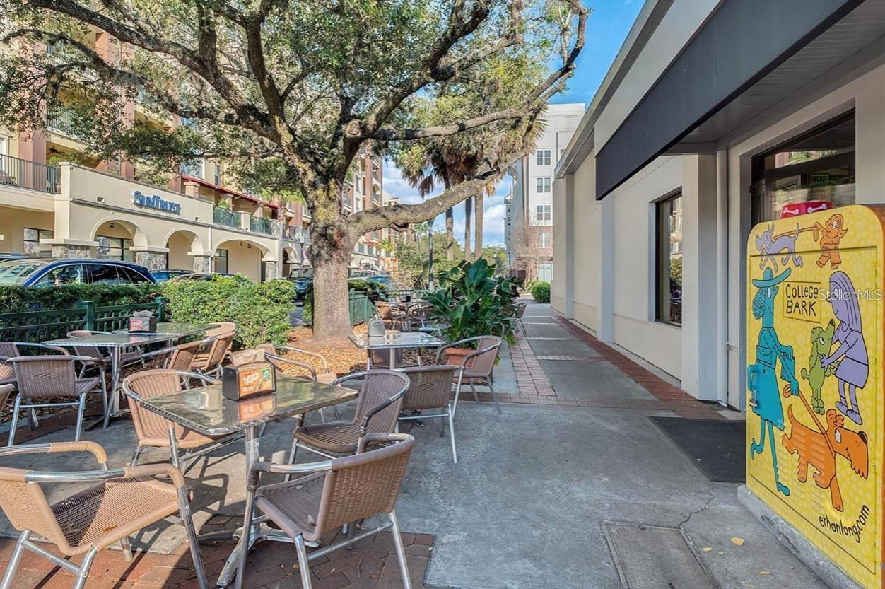 1604 BRYN MAWR ST, ORLANDO, FL, 32804