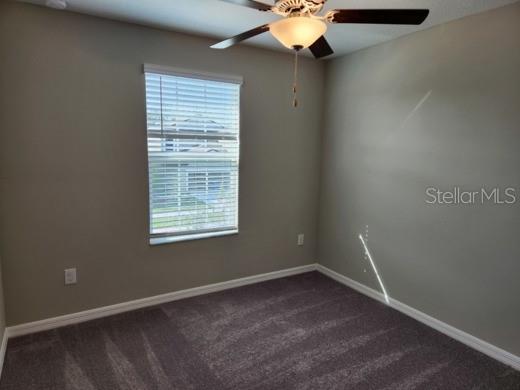 12716 MAPLE BONSAI DR, RIVERVIEW, FL, 33579