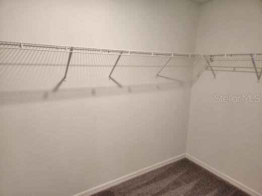 12716 MAPLE BONSAI DR, RIVERVIEW, FL, 33579