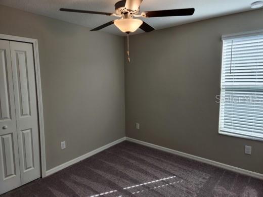 12716 MAPLE BONSAI DR, RIVERVIEW, FL, 33579