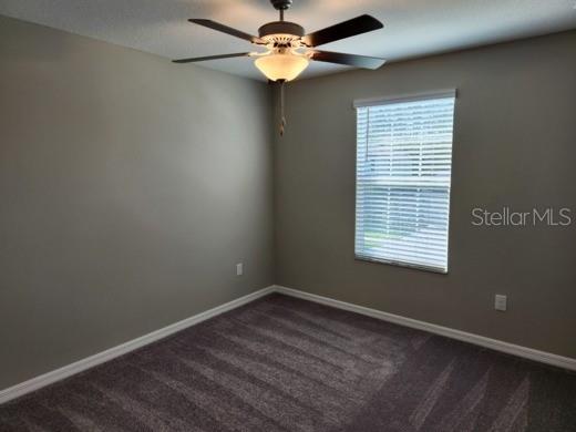 12716 MAPLE BONSAI DR, RIVERVIEW, FL, 33579