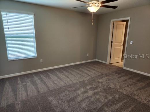 12716 MAPLE BONSAI DR, RIVERVIEW, FL, 33579