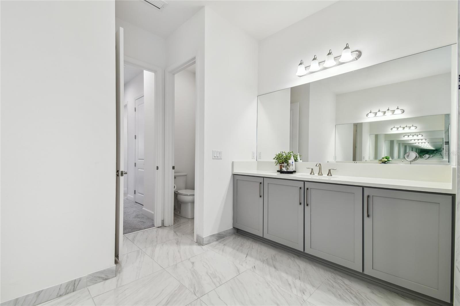 3135 GREAT BANYAN WAY, WESLEY CHAPEL, FL, 33543