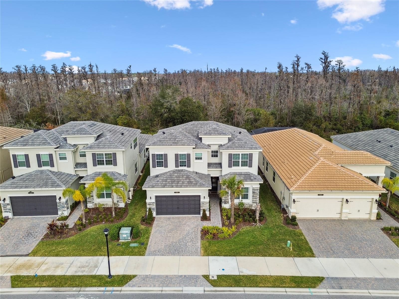 3135 GREAT BANYAN WAY, WESLEY CHAPEL, FL, 33543