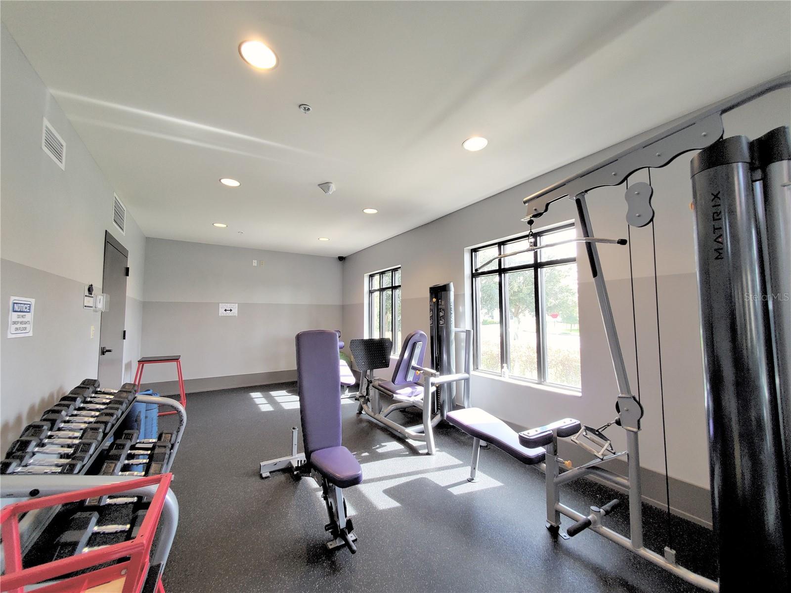 14519 CRESTED PLUME DR, WINTER GARDEN, FL, 34787